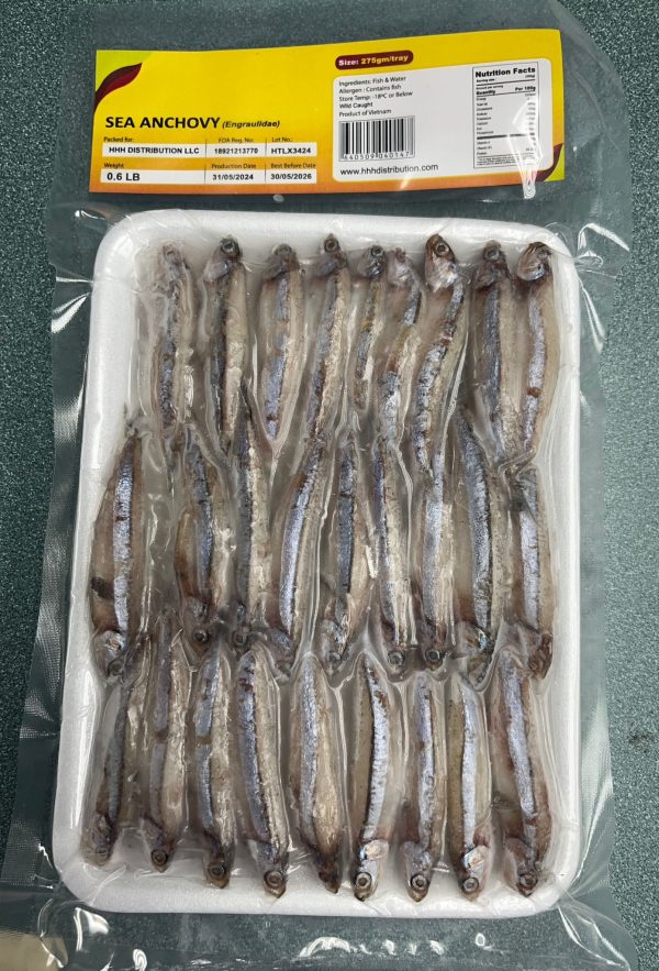 Sea Anchovy (3-6) cm/pc