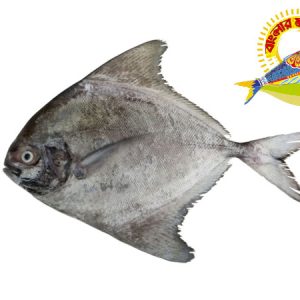Black Pomfret 500g up