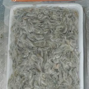 Small River (Baby Shrimp) Whole Round Banglar Maach