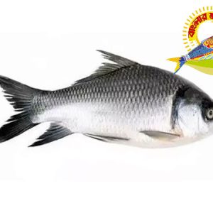 Katla (3KG-10KG)