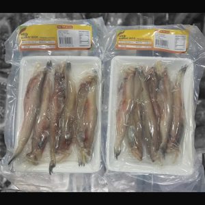 LOTIA TRAY (BOMBAY DUCK)
