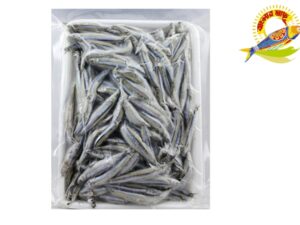 Sea Anchovy (3-6) cm/pc