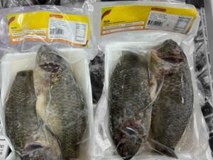 KOI Clean (3-4pcs/kg) 500gm (20/tray) 10kg